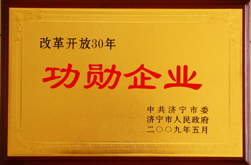 改革開放30年功勛企業(yè)